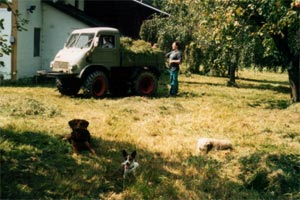 unimog, heu einbringen